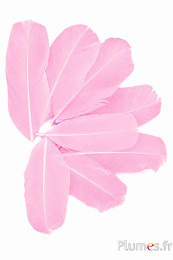 Petali in piume - 13-16 x 6 cm - rosa